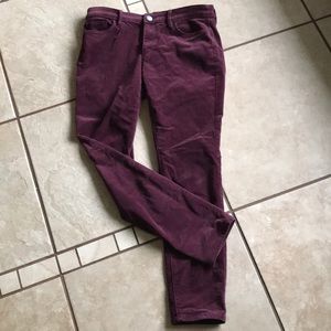 LOFT Maroon velvet pants